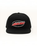 Gorra Santa Cruz Delfino Pinball Black Snapback