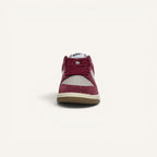 Tenis Nike Dunk Low Retro SE Team Red