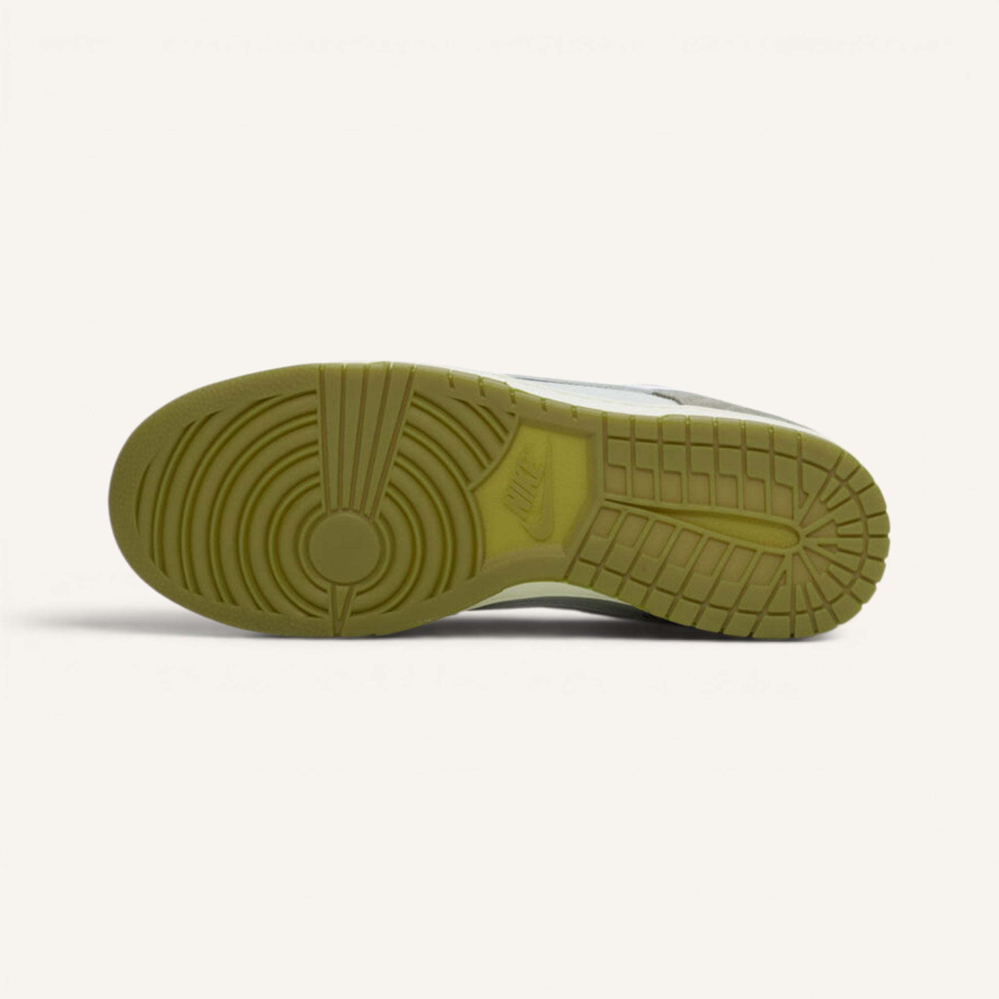 Tenis Nike Dunk Low Retro SE Light Silver